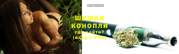 крисы Галич