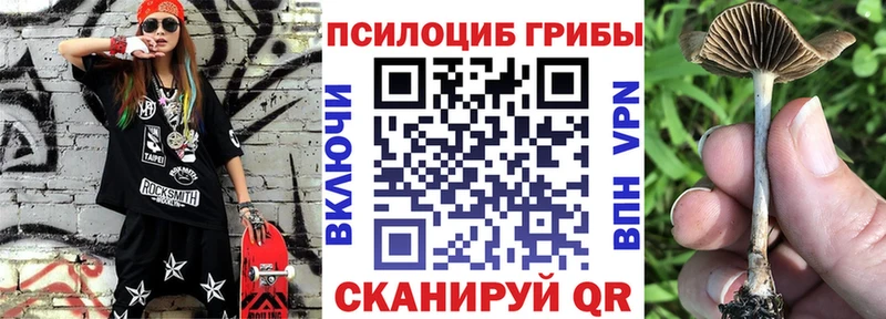 Псилоцибиновые грибы прущие грибы  Козельск 